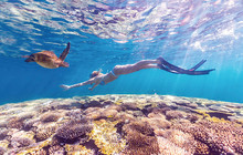 Autopia---Exmouth-Explorer-Ningaloo-Reef-Turtle-swim.jpg
