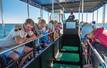 Autopia---Glass-bottom-boat-cruise,-Coral-Bay-Ningaloo-Reef,-TourismWA-112583-56.jpg