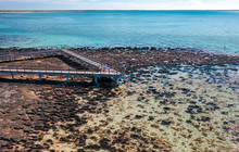 Autopia---Hamelin-Pool-Shark-Bay-dji0608-Credits-Australias-Coral-Coast-Cakewalk.jpg