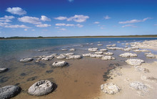 Autopia---Lake-Thetis-stromatolites,-Cervantes,-Indian-Ocean-Drive,-Tourism-WA-106982-2.jpg