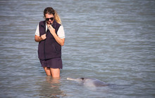 Autopia---Monkey-Mia-Dolphins-Encounter.jpg
