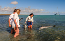 Autopia---Monkey-Mia-Shark-Bay-Credits-Australias-Coral-Coast-Cakewalk.jpg