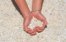 Autopia---Shell-Beach-Credits-Australias-Coral-Coast-Cakewalk.jpg