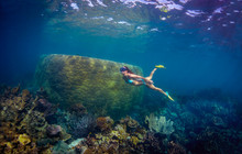 Autopia---Snorkeling-Ningalook-WA_357_DK_2016-Ausralias-Coral-Coast-Credits-David-Kirkland.jpg
