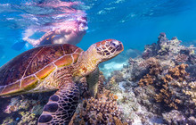 Autopia---Turquoise-Bay-,-Ningaloo-Reef,-Exmouth,-Tourism-WA-112348.jpg