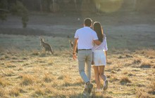 Blue Mountains - Couple enjoying sunset with kangaroos, Emirates, Destination NSW 171454-56.jpg