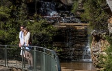 Blue Mountains - Wentworth Falls Track, Destination NSW 171379-56.jpg