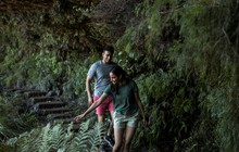 Blue Mountains - Wentworth Falls Track, Destination NSW 171403-56.jpg