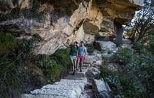 Blue Mountains - Wentworth Falls Track, Destination NSW 171409-56.jpg