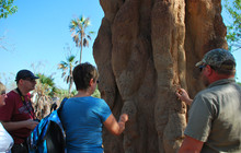 Cathedral-Termite-Mounts-Litchfield-NP-2_Yi-Wen-Tan.jpg