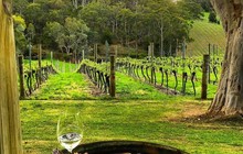 Clare Valley.jpg