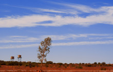 DSC00005_0.jpg