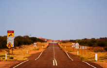 DSC00010_0.jpg