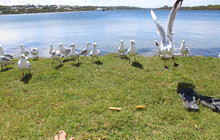 East Coast Pictures (4 of 95).jpg