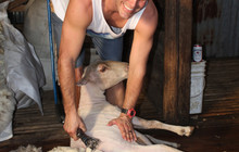 East Coast Pictures (44 of 95).jpg