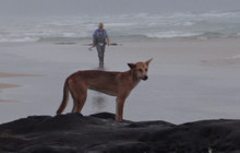 East Coast Pictures (54 of 95).jpg