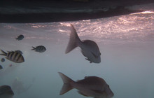 East Coast Pictures (6 of 95).jpg