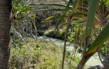 Eli-creek-1-900x1200.jpeg