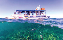 Glass-bottom-boat-cruise-in-Coral-Bay-Ningaloo-Reef,-Tourism-WA-112580-4.jpg