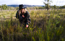 Grampians Wildflowers 151141-56.jpg