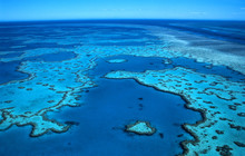 Great Barrier Reef.jpg