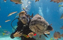 Great-Barrier-Reef-Main-2.jpg