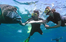 Great-Barrier-Reef-Snorkelling.jpg