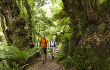 Great-Ocean-Road-Melba-Gully-VV-Mark-Watson-130146-56.jpg