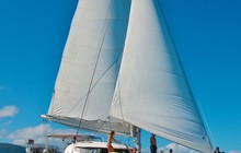 IMG_0317.JPG