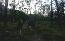 IMG_4940.jpg