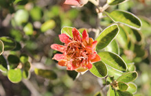 IMG_7568.jpg