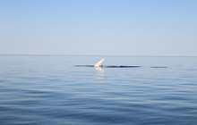 IMG_8939.jpg
