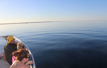 IMG_9027.jpg