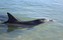 IMG_9618.jpg