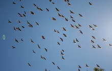 Kakadu Tour Pics (10 of 110).jpg