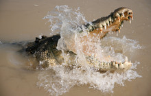 Kakadu Tour Pics (12 of 110).jpg