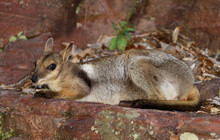Kakadu Tour Pics (15 of 110).jpg