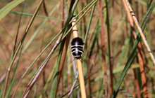 Kakadu Tour Pics (19 of 110).jpg