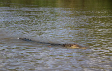 Kakadu Tour Pics (23 of 110).jpg