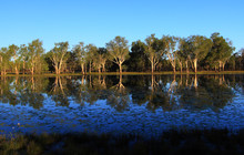 Kakadu Tour Pics (28 of 110).jpg