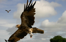 Kakadu Tour Pics (3 of 110).jpg