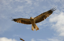 Kakadu Tour Pics (4 of 110).jpg