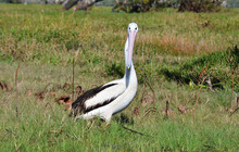 Kakadu Tour Pics (47 of 110).jpg