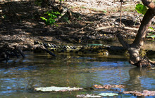 Kakadu Tour Pics (48 of 110).jpg