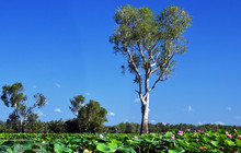 Kakadu Tour Pics (50 of 110).jpg
