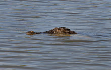 Kakadu Tour Pics (52 of 110).jpg