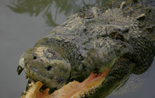 Kakadu Tour Pics (6 of 110).jpg