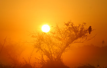 Kakadu Tour Pics (8 of 110).jpg