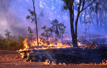 Kakadu Tour Pics (98 of 110).jpg