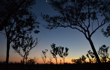 Kakadu Tour Pics (99 of 110).jpg